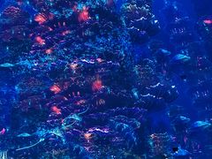 -海合安青岛极地海洋公园