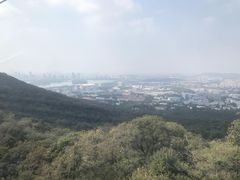 -紫金山山顶公园