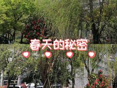 -龙湖杭州滨江天街