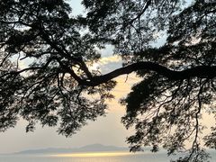 -网红落日悬崖餐厅 The Sky Gallery