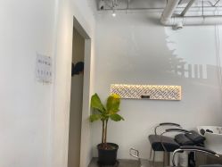 -Hair  Gallery