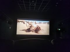 -博纳国际影城IMAX(中央大道店)