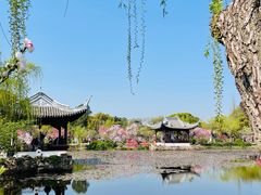 -无锡蠡湖国家湿地公园-蠡园
