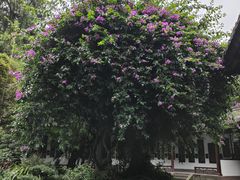 -成都杜甫草堂博物馆