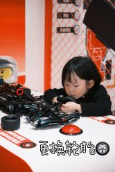 -乐高品牌旗舰店(人民广场店)
