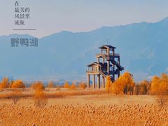 -野鸭湖国家湿地公园