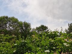 -意大利农场度假村