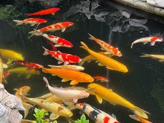 -金海华·华宴江南(斜塘店)