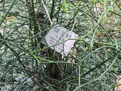 -广州神农草堂中医药博物馆