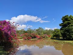 -中国科学院西双版纳热带植物园