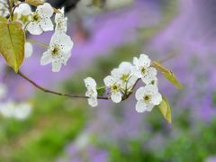 -江苏三台山国家森林公园