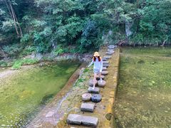 -牛背梁国家森林公园