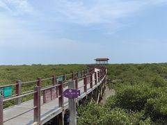 -北海金海湾红树林生态旅游区