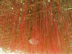 -四海烤鸭城