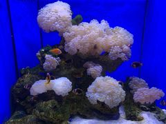 -多彩贵州城极地海洋世界