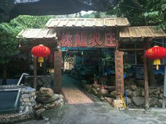 android_upload_pic-桃姐农庄老字号(从化温泉店)