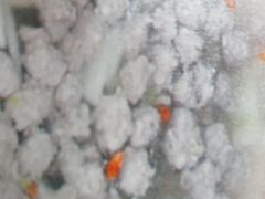 -何记羊汤馆(丽水佳源店)