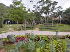 -银湖山郊野公园-相思林