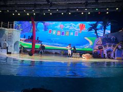 -三亚海昌梦幻海洋不夜城