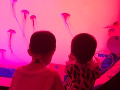 -沈阳海洋探索中心