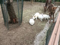 -广州锦绣香江度假别墅(官方直营店)