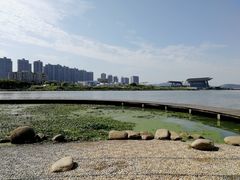 -高子水居