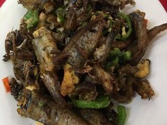 -蛇口康乐快餐鱼仔档(翠苑小区店)