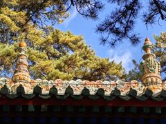 -普乐寺