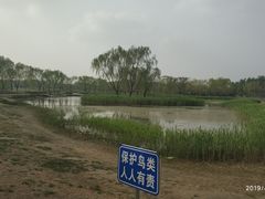 -大兴滨河森林公园