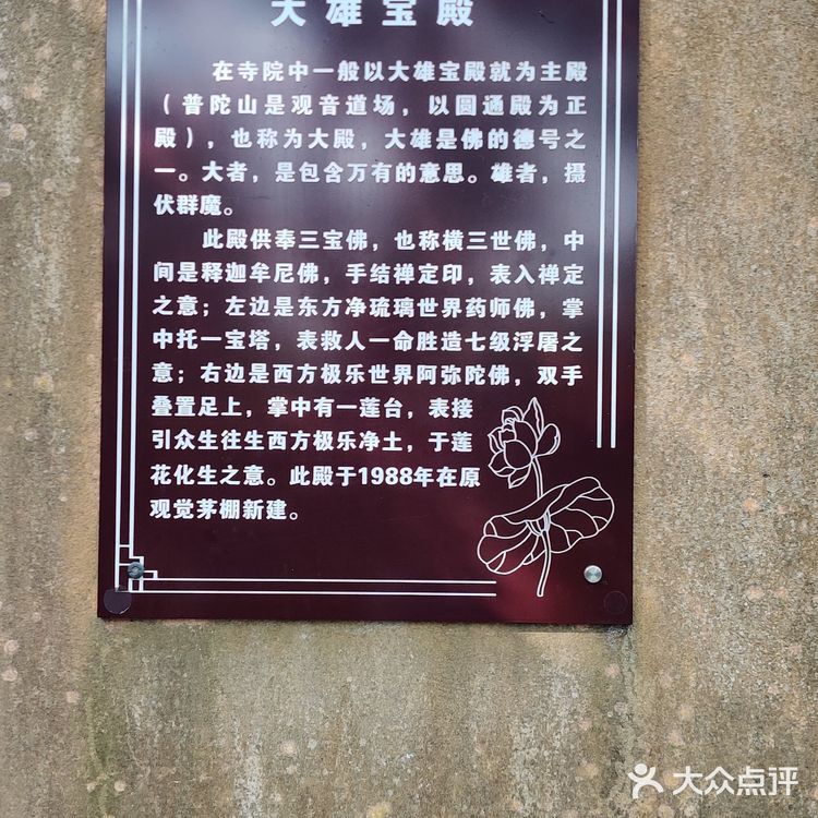 不到珞珈山，等于没来过普陀山🙏