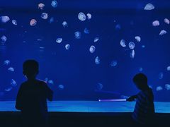 -华夏文旅海洋公园