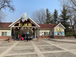 -酷酷兔少儿拓展天地