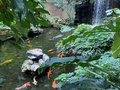 -白天鹅宾馆-宏图府餐厅