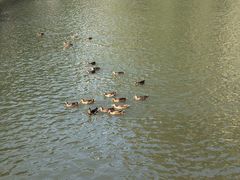 -十渡东湖港风景区