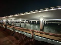 -演武大桥观景平台