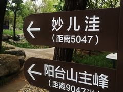 -阳台山自然风景区