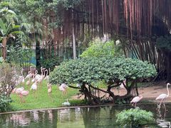 -九龙公园
