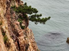 -长岛南北长山旅游景区