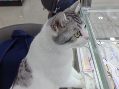 -视佳眼镜EYE(中山北路店)