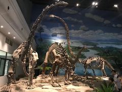 -自贡恐龙博物馆