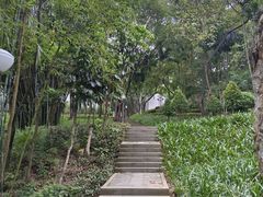 -深圳龙潭公园