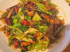 -柴窝堡22号辣子鸡·传承新疆菜