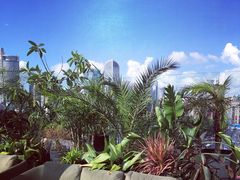 -城市露台景观餐厅(淮海路店)