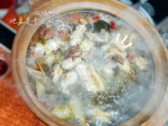 连州果园鸡-威邵鸡煲(西华路总店)