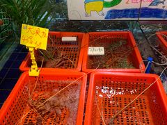 -79号渔船海鲜饭店(华强北店)