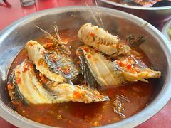 -风鑫铃罗非鱼(道沟店)