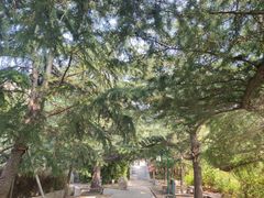 -崆山白云洞