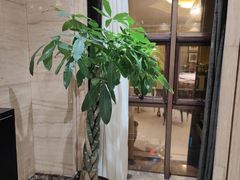 -洛阳宴·洛阳菜(南昌路店)