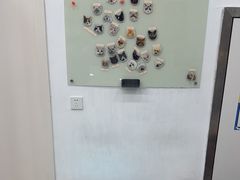 -四月宠物医院·猫专科·心脏专科·内科(转塘店)