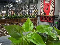 -蓝天射箭馆·专业射箭运动(诚丰广场店)